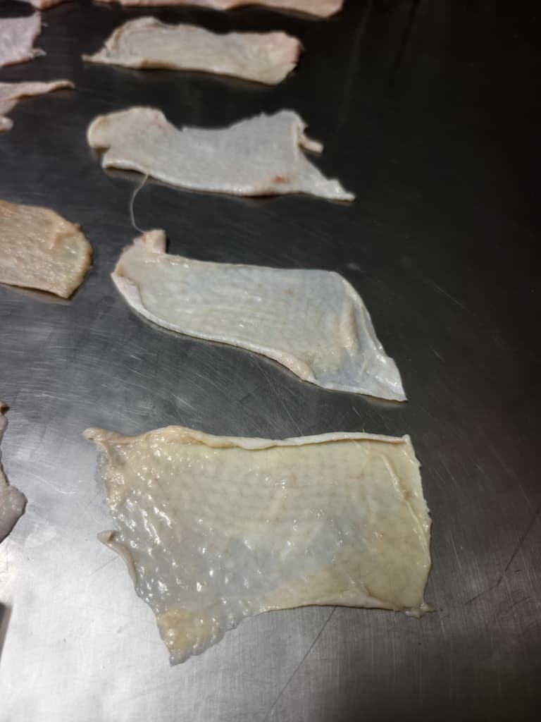 Chicken Skin / Body Skin 鸡皮