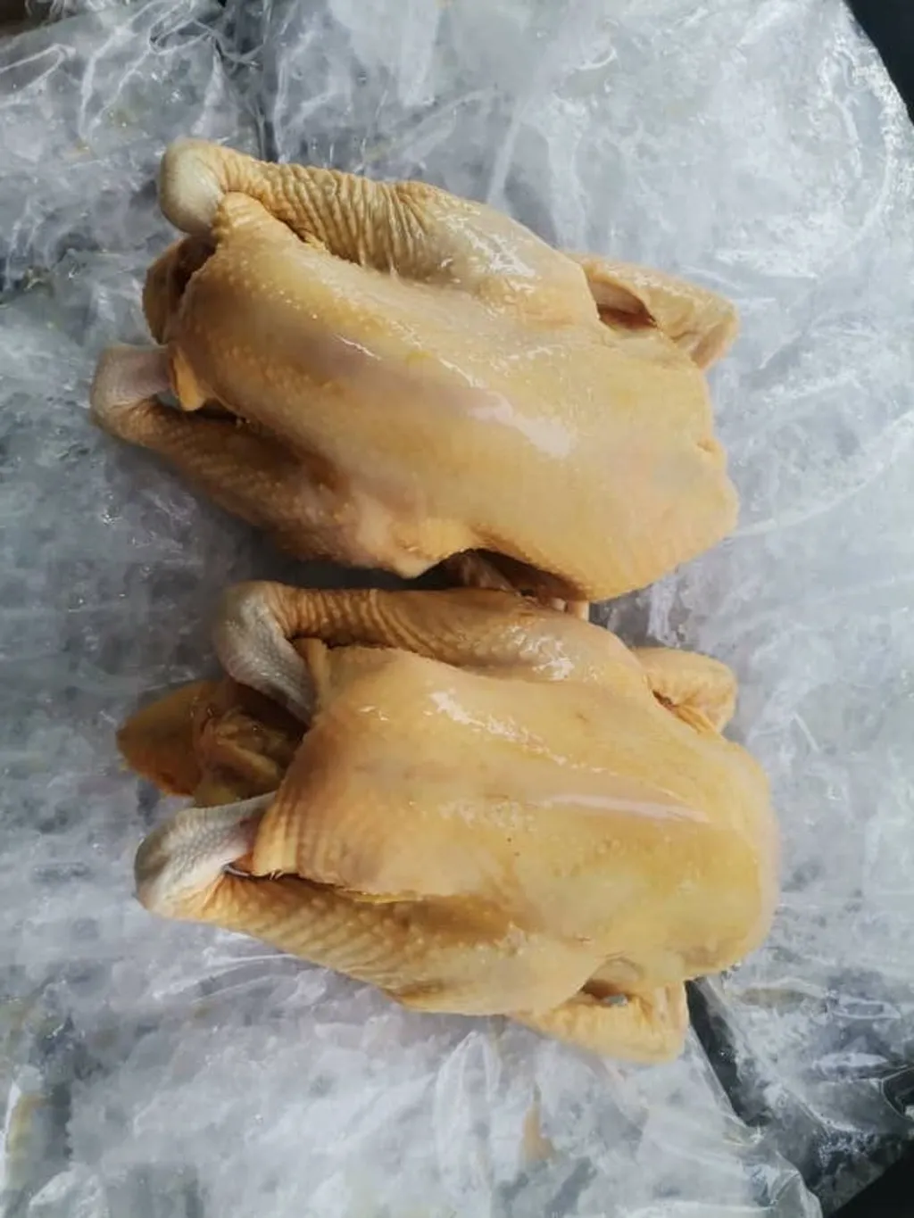 Kampung Chicken 菜园鸡