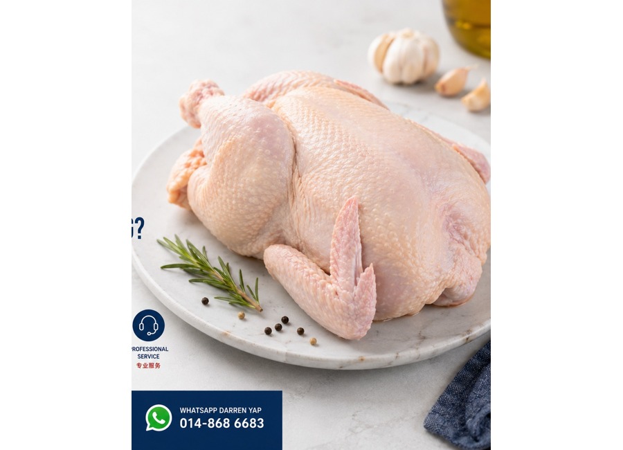 Whole Chicken 全鸡